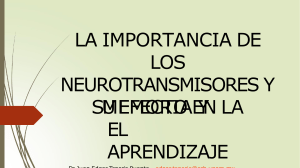 3-a-neurotransmisoresmemori