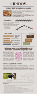 L&iacute;pidos: Caracter&iacute;sticas, Funciones y Metabolismo en Rumiantes