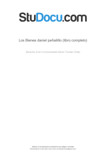 los-bienes-daniel-penailillo-libro-completo