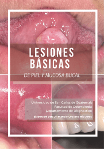 Lesiones Básicas