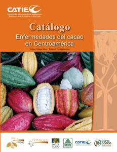 CATALOGO DE ENFERMEDADES DEL CACAO