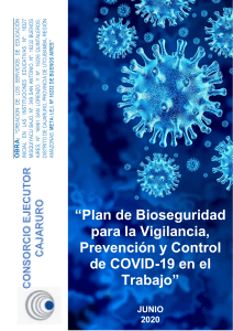 PLAN COVID - 19 BUENOS AIRES ok