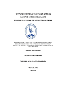 TESIS - RENDIMIENTO.CULTIVO.PALLAR.PHASEOLUS.LUNATUS.L.DOS.MÓDULOS.RIEGO.GOTEO.SECTOR.BARRAZA.DISTRITO.LAREDO.TRUJILLO.LA.LIBERTAD.PERÚ