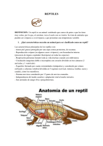 pdfcoffee.com especialidad-reptiles-3-pdf-free