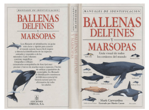 Ballenas, Delfines y Marsopas, Manuales de Identificación - Mark Carwardine, Martin Camm