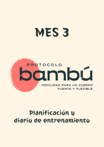ProtocoloBambuMes3