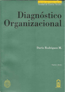 LIBRO DIAGNOSTICO ORGANIZACIONAL DARIO R