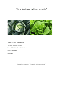 Ficha técnica de cultivos hortícolas