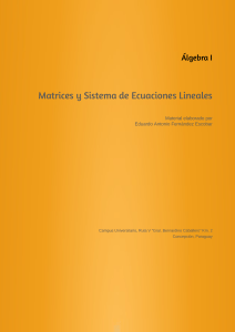 Matrices y Sistema de Ecuaciones Lineales