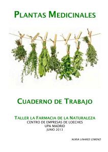 04. Plantas Medicinales autor Nuria Linares Gimeno