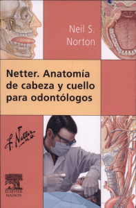 Netter - Anatomía CyC