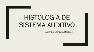 Histología de Sistema auditivo