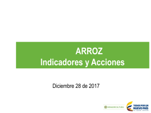 arroz 2017-12-30 Cifras Sectoriales