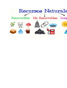 RECURSOS RENOVABLES Y NO RENOVABLES