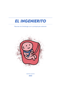 El ingenierito - Resumen embrio