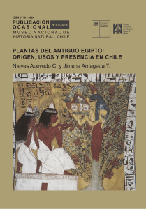 Plantas del Antig. Egipto y su precencia en Chile