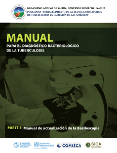 2019-cde-manual-actualizacion-baciloscopia-comisca