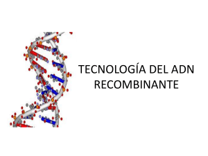 clase-tecnologc3ada-adn-recombinante-2015
