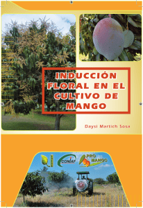 Inducción floral mango
