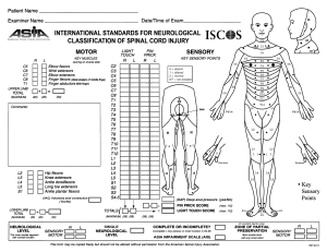 ASIA Spinal cord injury - ISNCSCI