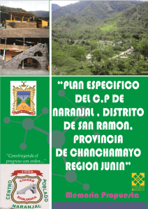 Municipalidad Distrital de San Ramón Plan Especifico del Centro Poblado de Naranjal, Distrito de San Ramon, Provincia de Chanchamayo - Región Junín