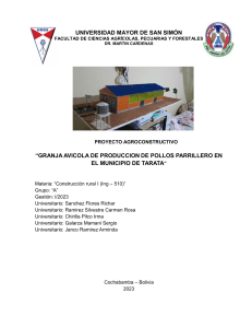 PROYECTO PRODUCCION DE POLLOS PARRILLEROS1