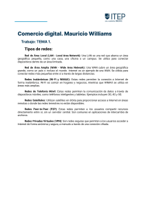Comercio digital  Tipos de redes. Mauricio Williams (1)