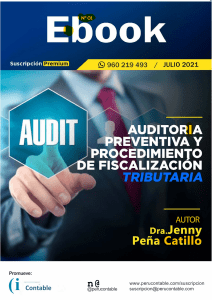 541996412-Auditoria-preventiva-2021