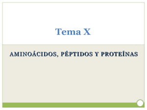  Aminoácidos, péptidos y proteínas