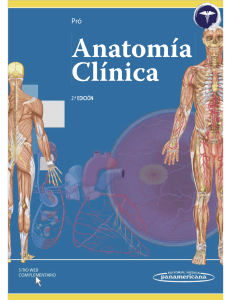 Anatomia Clinica 2ed Pro