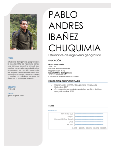 pablo andres Ibañez Chuquimia - Curriculum Vitae