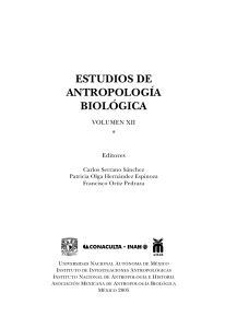 Baños 2005, Antropología de la violencia