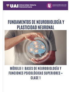 Apunte 1 - Introduccion al campo de las Neurociencias