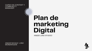 Plan de marketing Digital Angie Lino Studio