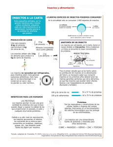 Insectos y alimentación