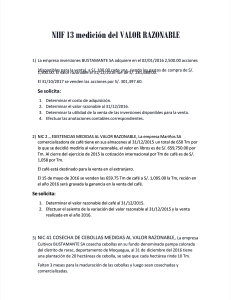 pdf-caso-practico-niif-13-vr compress