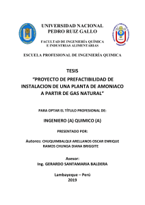 Proyecto de Planta de Amoniaco a partir de Gas Natural - Tesis