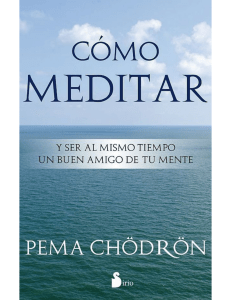 Pema Chodrón. Como meditar. 103 pág.