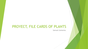 PROYECT, FILE CARDS OF PLANTS