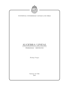 Rodrigo Vargas   Álgebra Lineal