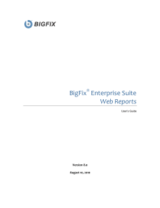 BigFix Web Reports 80 100810