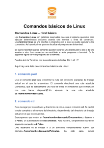Comandos básicos de Linux 1