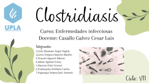 Clostridiasis - emfermedades infecciosas (1)