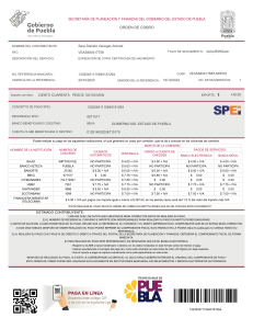 formatoDePago (2)