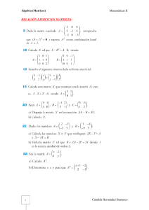 Ejercicios matrices