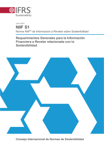 NIIF1S  sostenibilidad