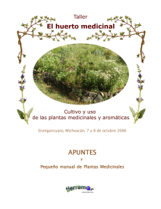 Agricultura Ecologica - El Huerto Medicinal - Pequeño manual de plantas medicinales