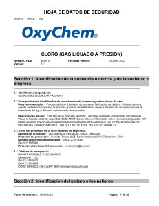 CLORO (GAS LICUADO) MTR CHIL MS