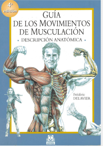 guia de los movimientos de musculacion