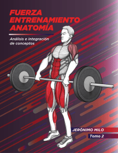 Fuerza, entrenamiento, anatomia (2)